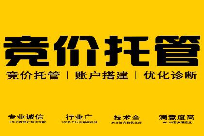 某品牌SEM推广策略的成效与启示